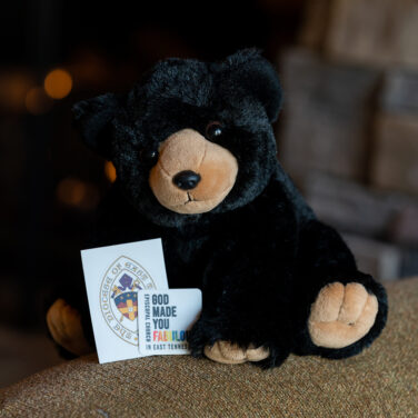 EastTN-the-Bear-376x376