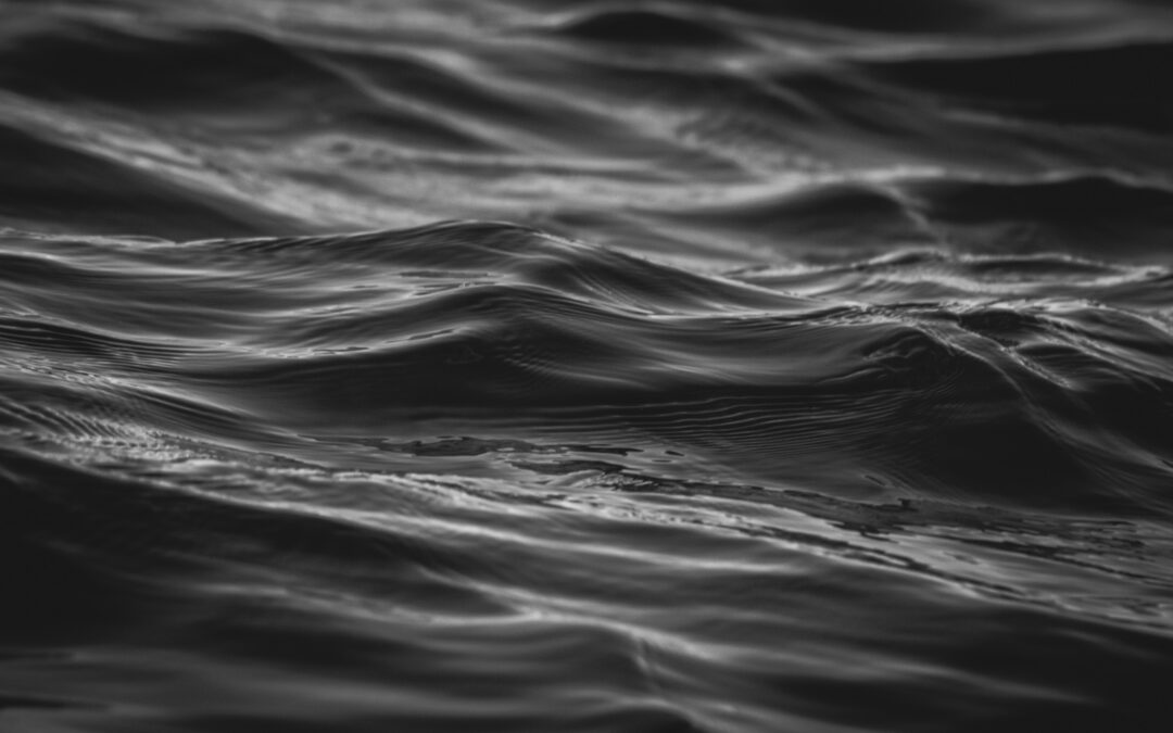Out of Silence: Silence Is All There Is